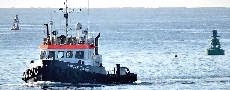 tugboat DMS Condor twin screw damen shoalbuster