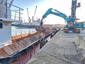 Needles loaded with cultch and equipped with protective matting